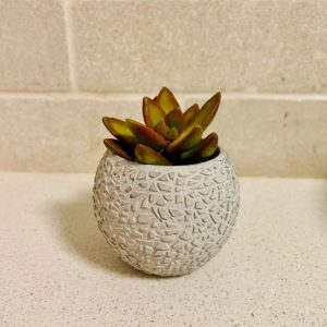 עציץ עגול עם טקסטורה מחוספסת