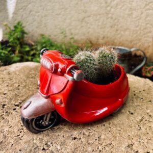 עציץ ווספה אדום