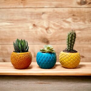 סט 3 עציצי בטון צבעוניים