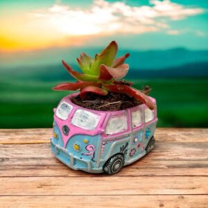 סדנת צביעת עציץ מיניוואן ושתילה