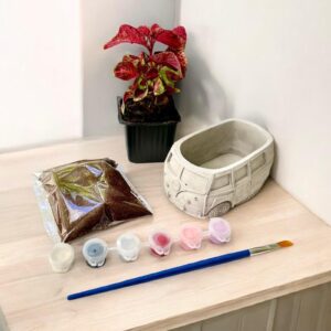 מארז DIY - צביעה ושתילה מכונית מיניוואן ורוד