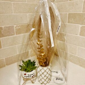 מארז מתנה לירון