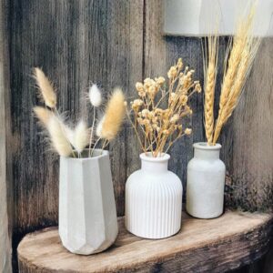 מיקס אגרטלי מיני