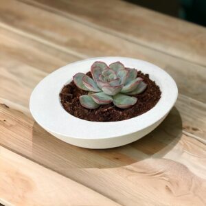 עציץ עגול א-סימטרי בטון לבן