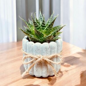 עציץ פסים מבטון - אפור