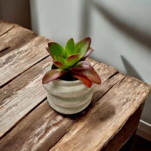 עציץ מיני מבטון אפור