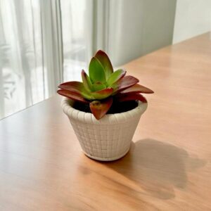 עציץ מיני סל- לבן