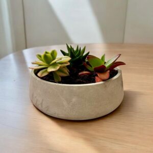 עציץ עגול גדול - בטון אפור