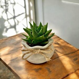 עציץ עם שרוך- בטון אפור M