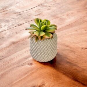 עציץ מיני פיקה - לבן