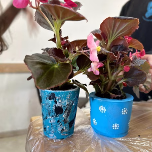 חוג אמנות שימושית - DIY לילדים