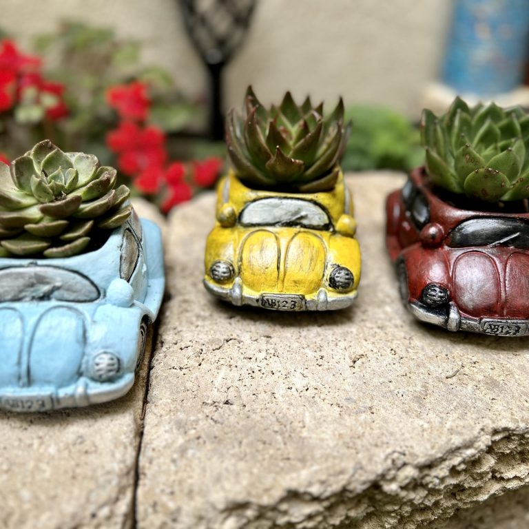 עיצוב הבית: מתנה לבית חדש - עציץ מעוצב חיפושית