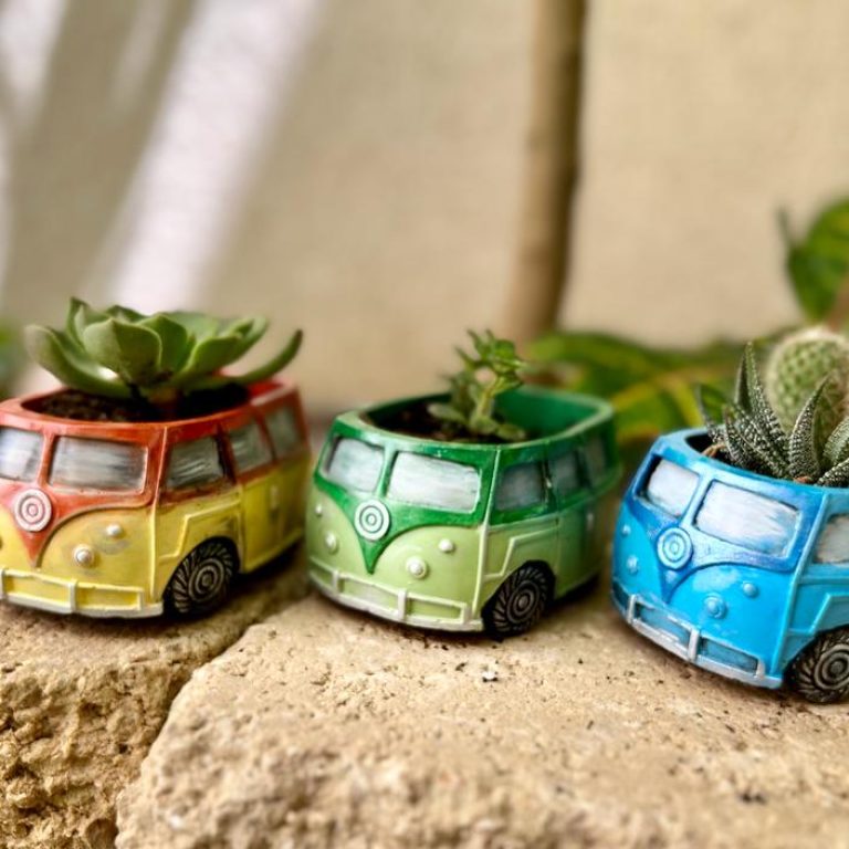 עציץ וואן שלישייה